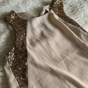 Rose Gold and Blush Sleeveless Blouse